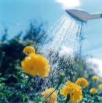 © Rinko Kawauchi / Courtesy of the artist and FOIL GALLERY, Tokyo.