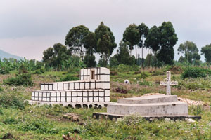 Sarah Vanagt, Les mouchoirs de Kabila, 2005
