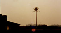 Basam Magdy, My Father Looks for an Honest City, 2010. Super8 film transferred to HD video (5'28