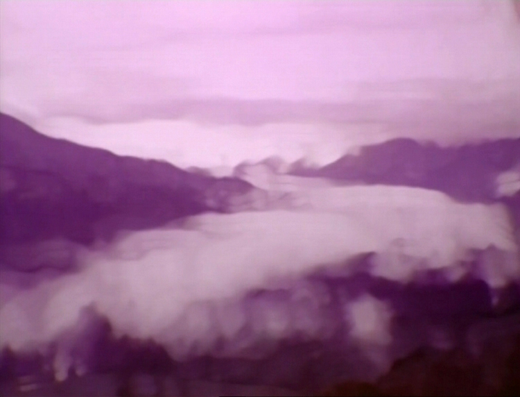 Steve Reinke, The Mendi, 2006