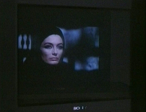 Eva Meyer & Eran Schaerf, Europe from Afar, 2001