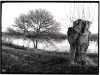 Itinéraire de Jean Bricard, Jean-Marie Straub, 2008. © Pierre Grise, Paris.